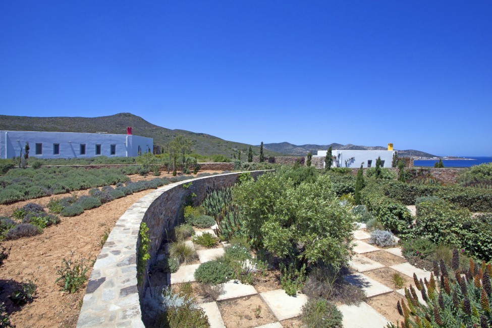 Villa Elina Pool - Antiparos, Greece:garden.JPG