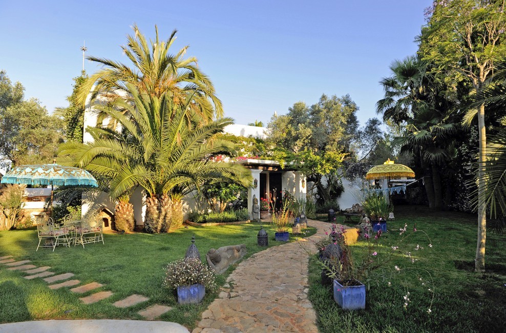 Spain:Ibiza:CanArte_VillaAlma:garden22.jpg