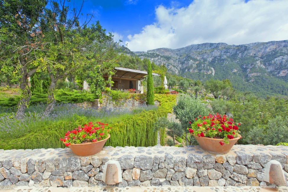 Spain:Mallorca:VistaTramuntana_VillaTeo:garden50.jpg