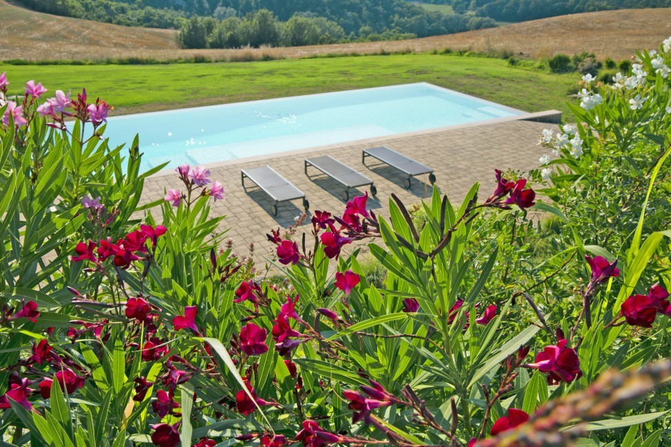 Italy:Tuscany:Castelfalfi:VillaCampera_VillaCandida:pool10.jpg