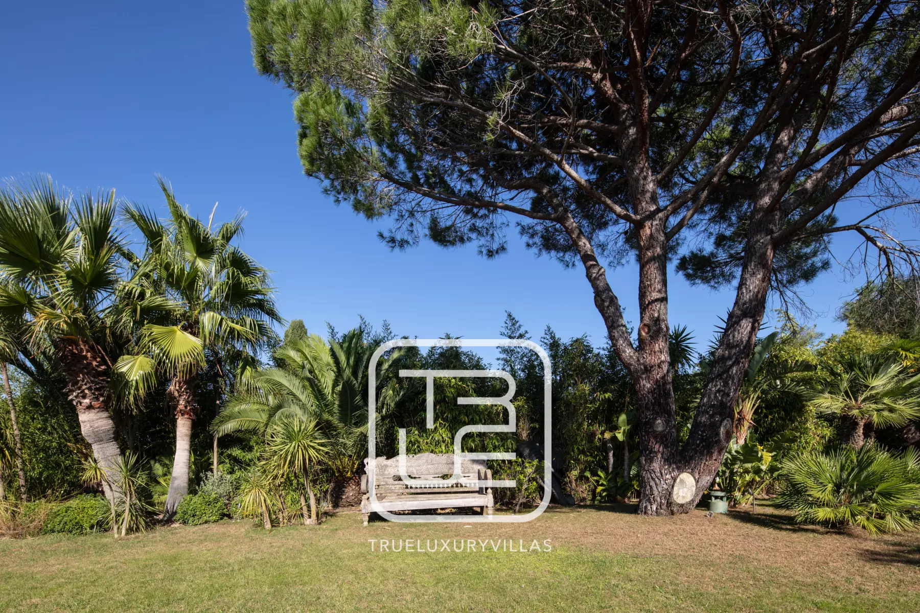 Villa Diane