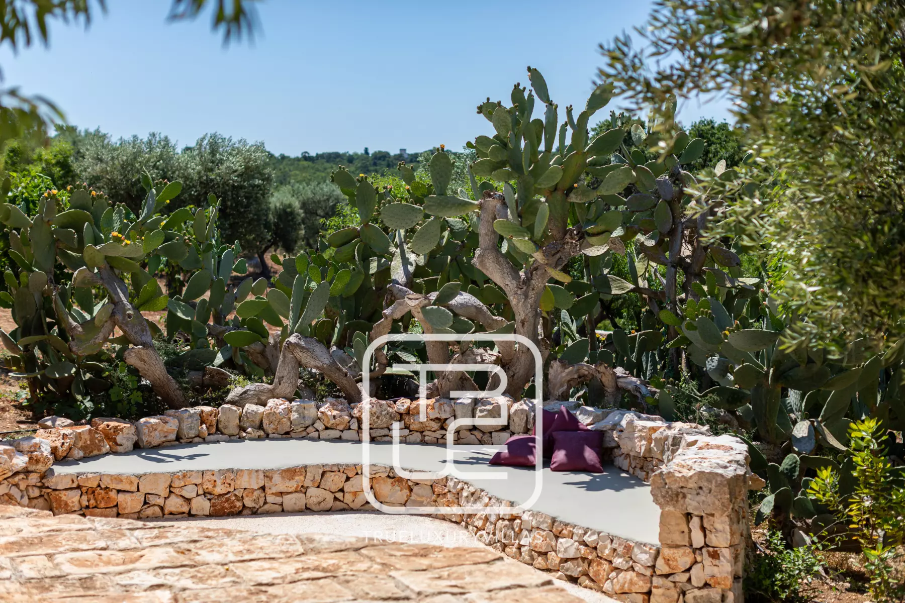 Villa Minita