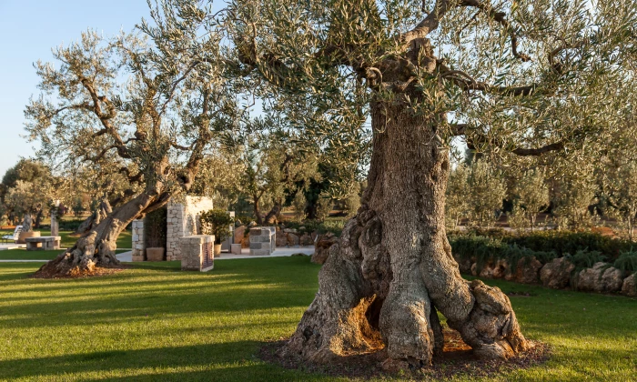 Villa Remare