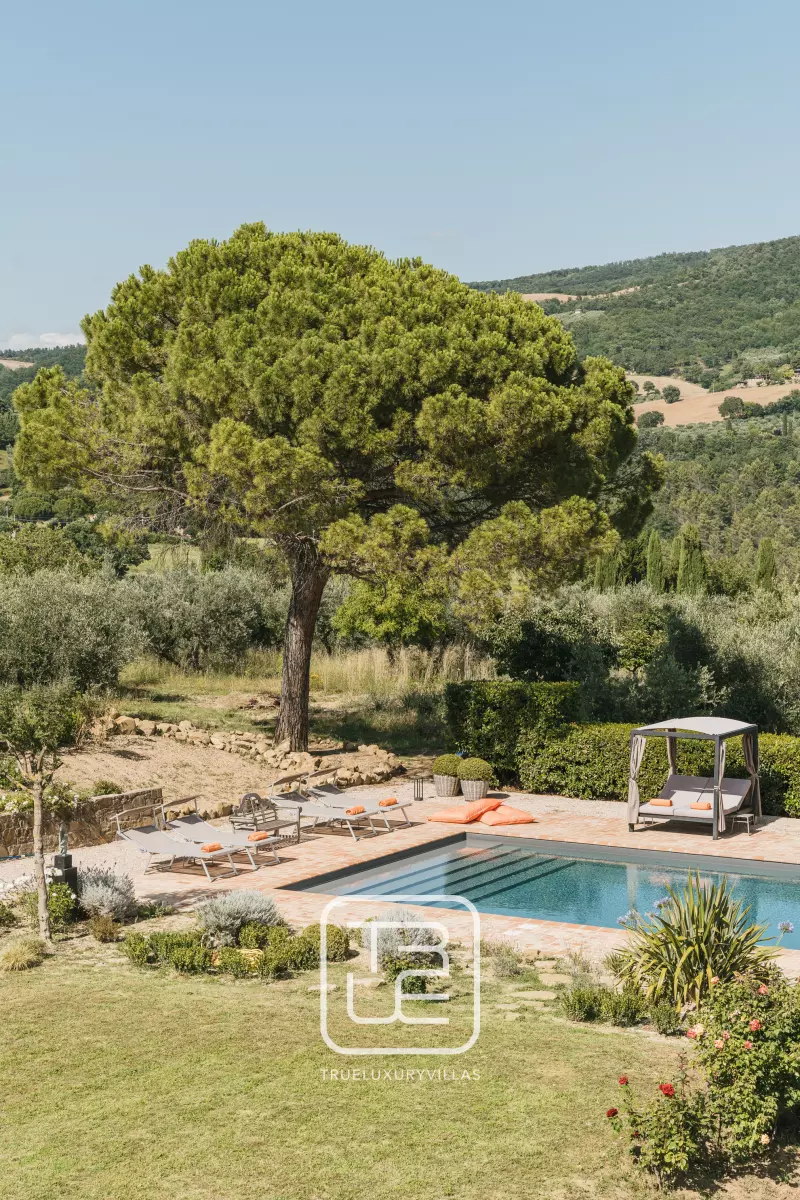 Villa Assi