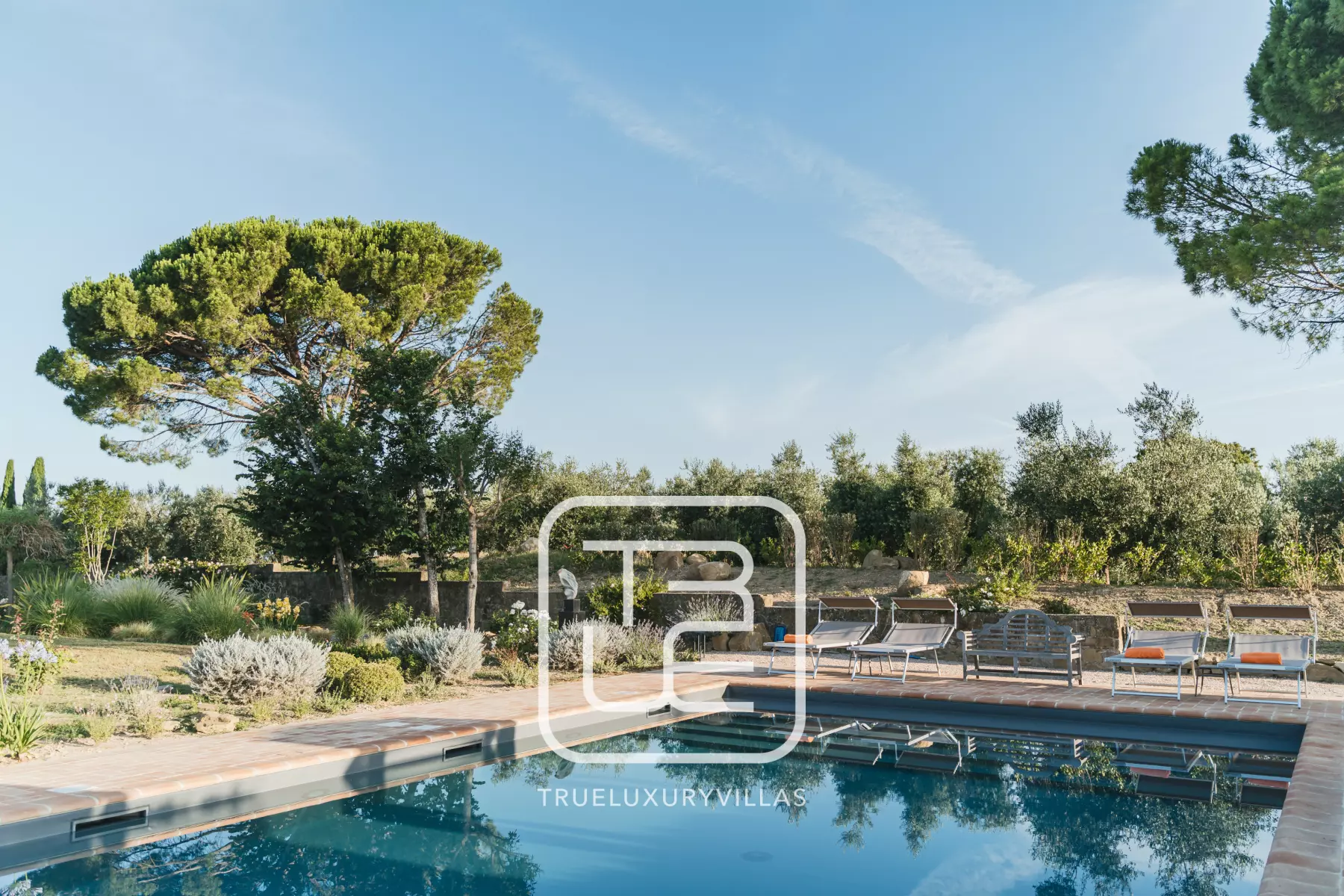 Villa Assi