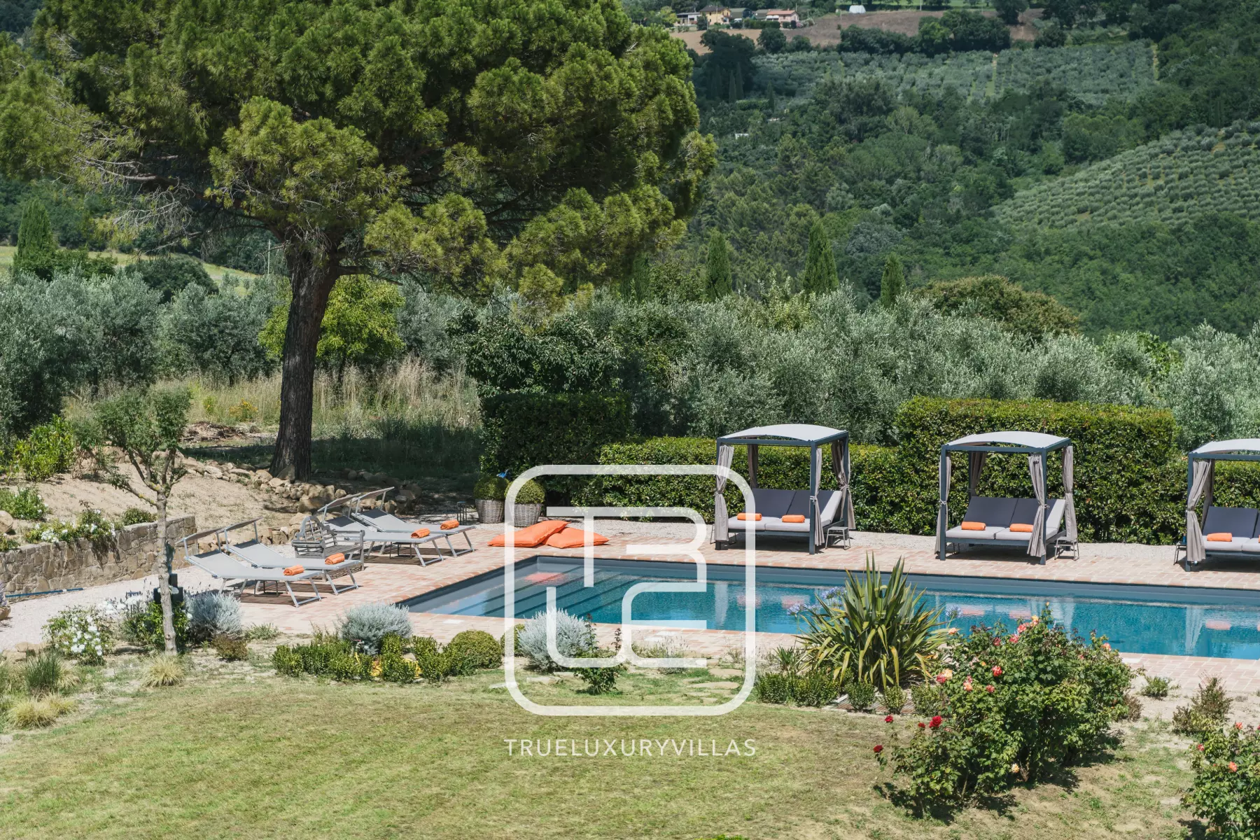 Villa Assi