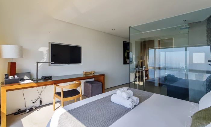 Penthouse Irma