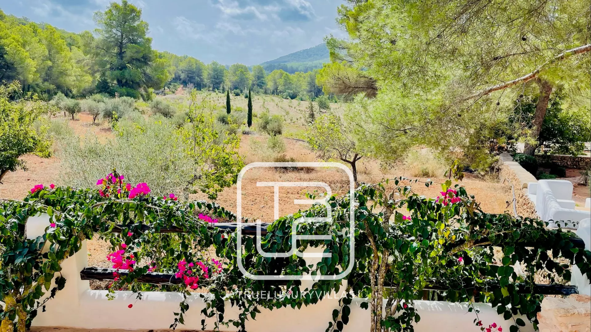 Villa Gertruda