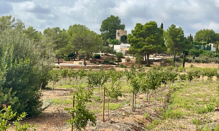 Villa Gertruda