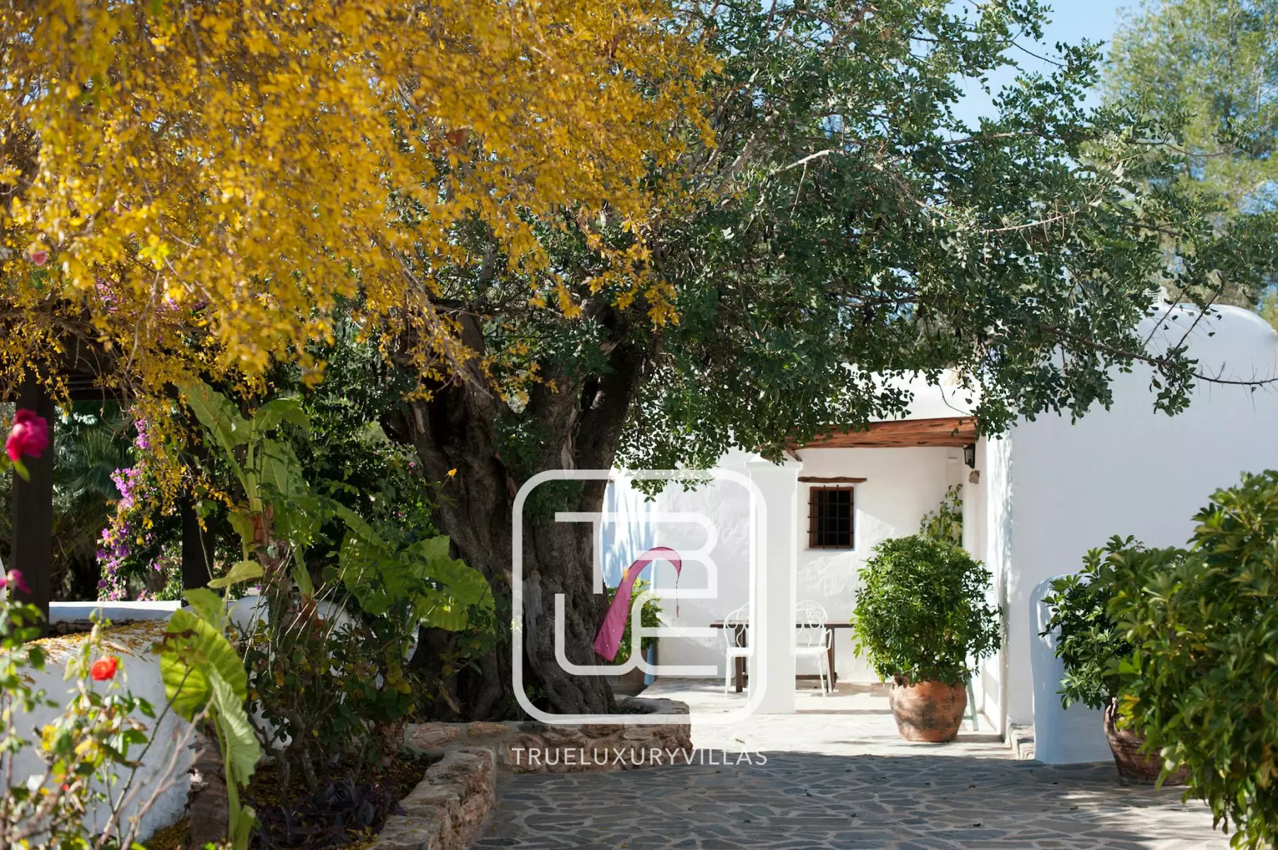 Villa Alice