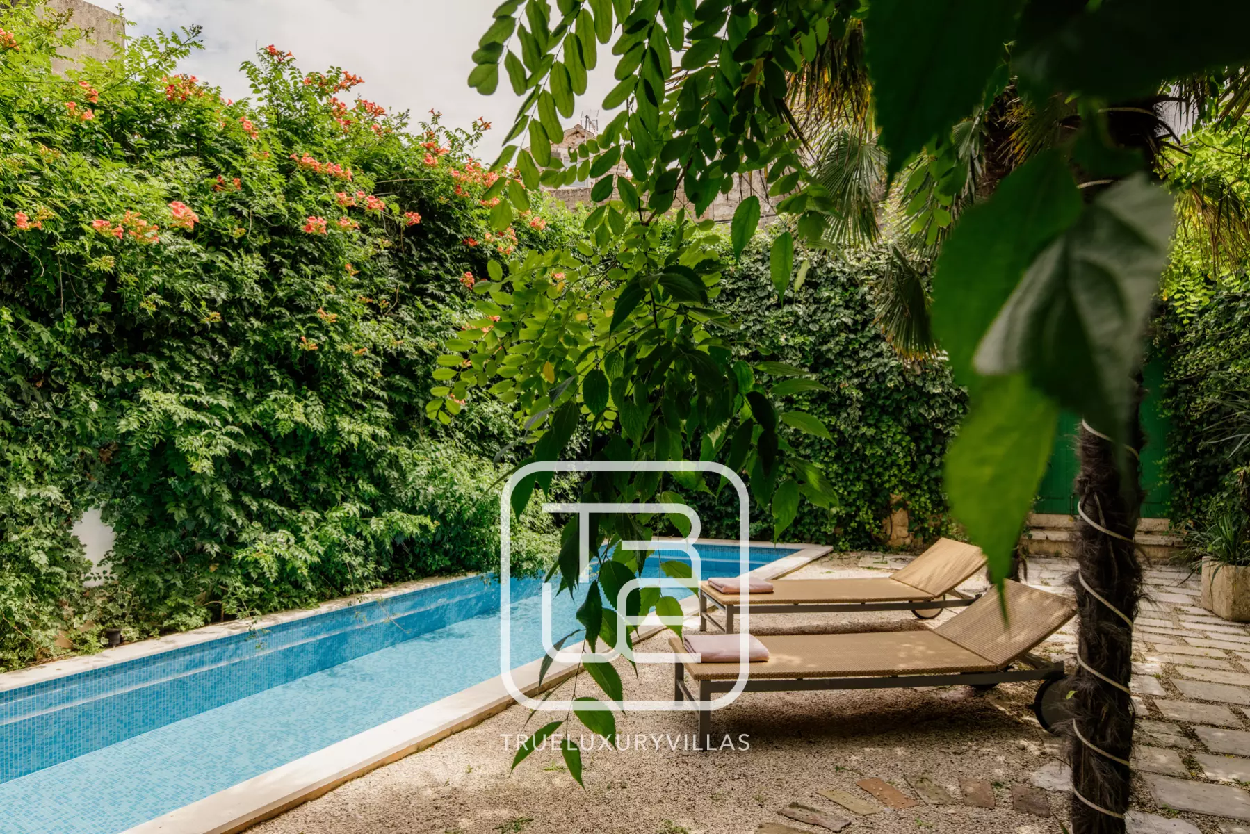 Villa Holi