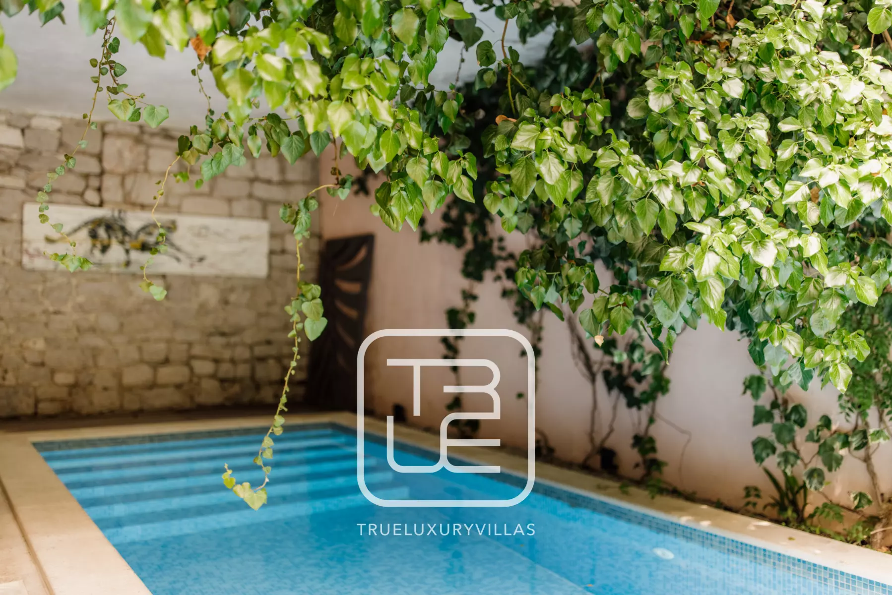 Villa Holi