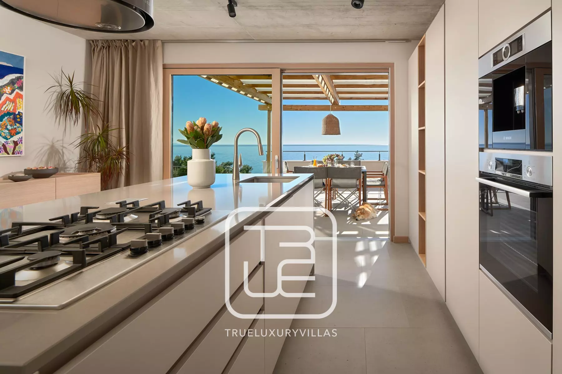 Villa Ariona