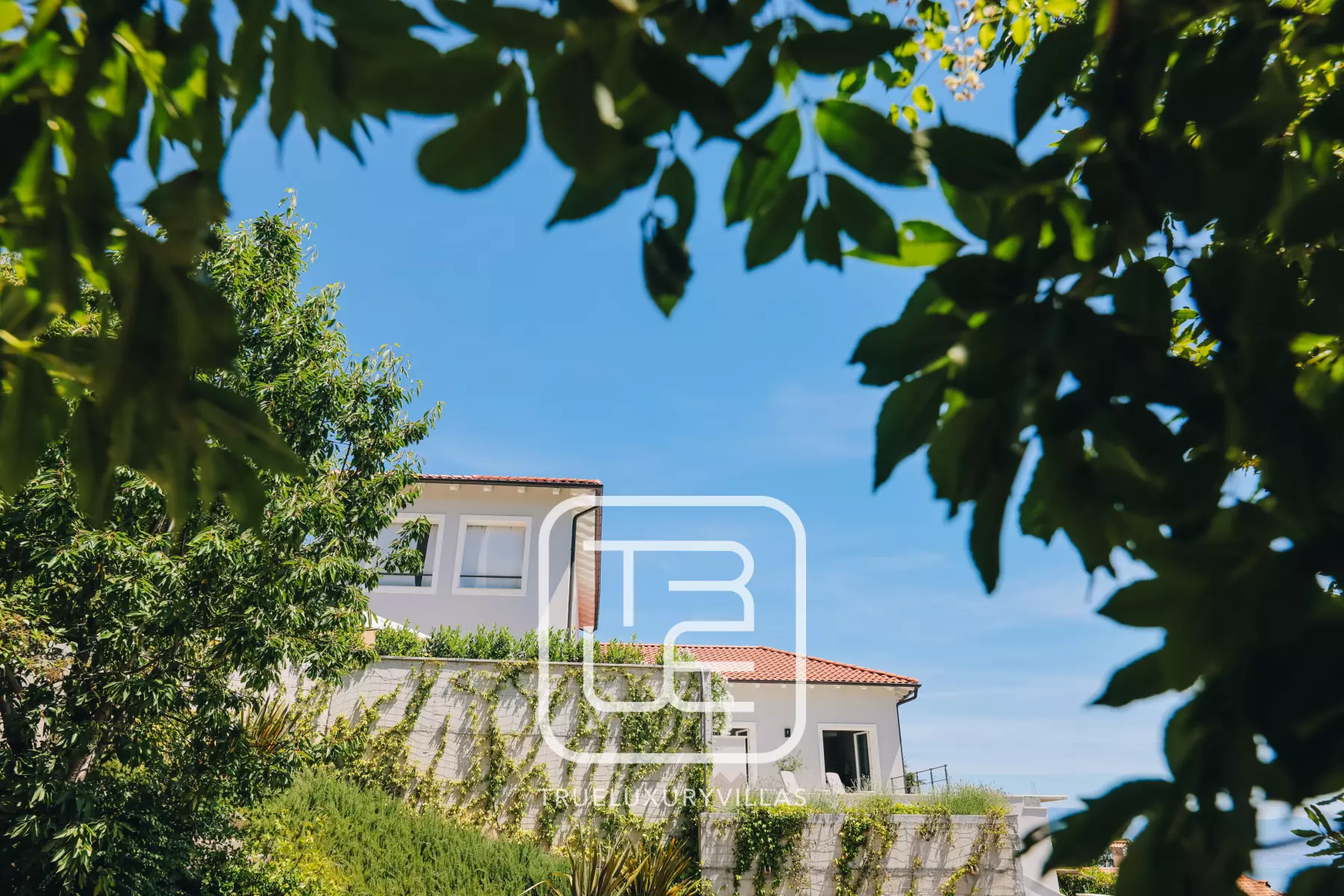 Villa Collibri