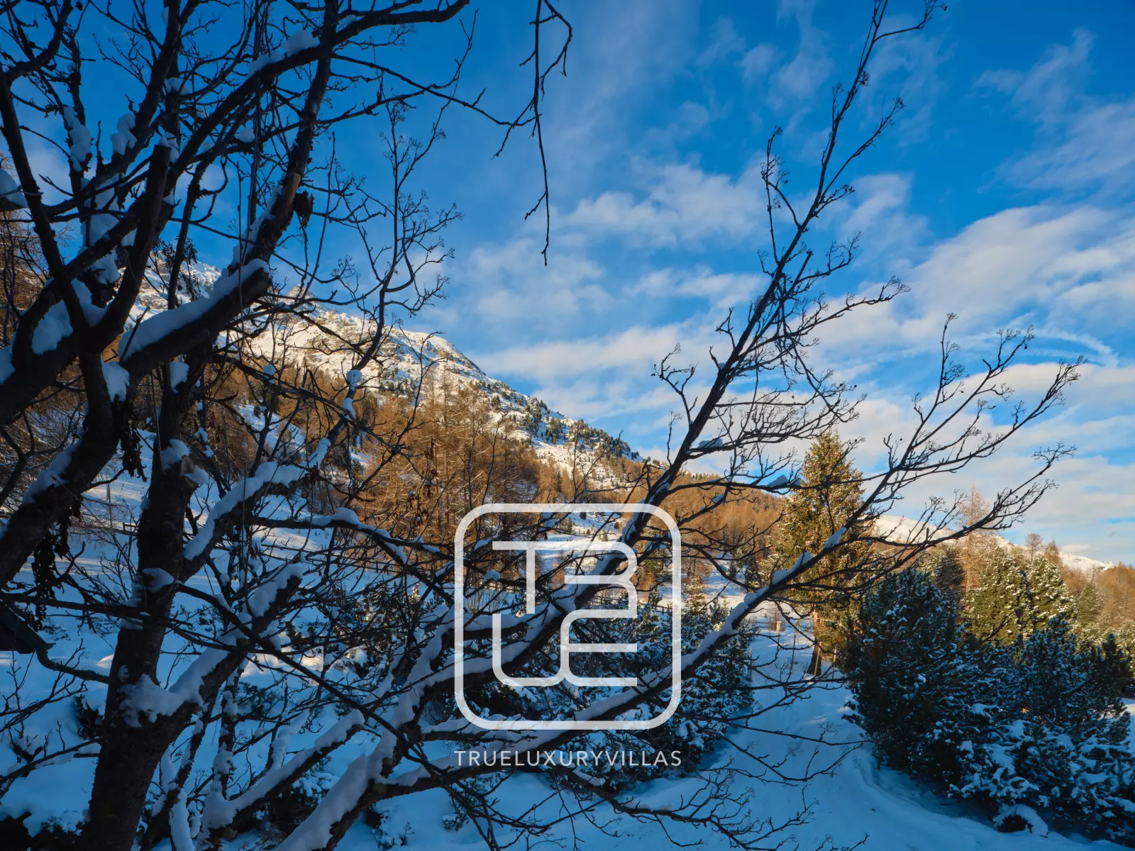 Chalet Surlej