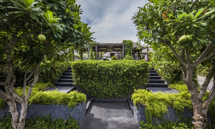 Amalu Estate