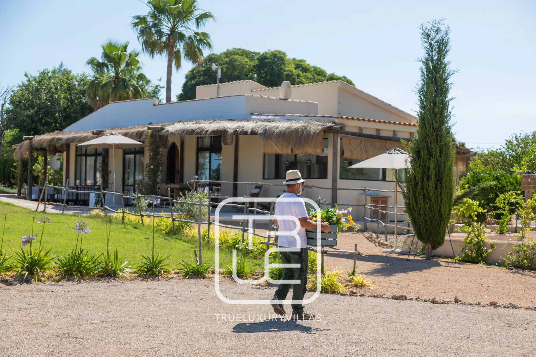 Villa Filo