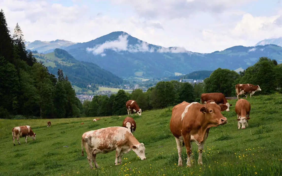 Resort photos, summer