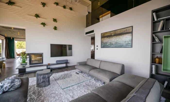 Villa Liss