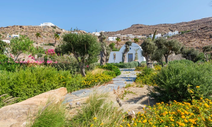 Lukas Estate