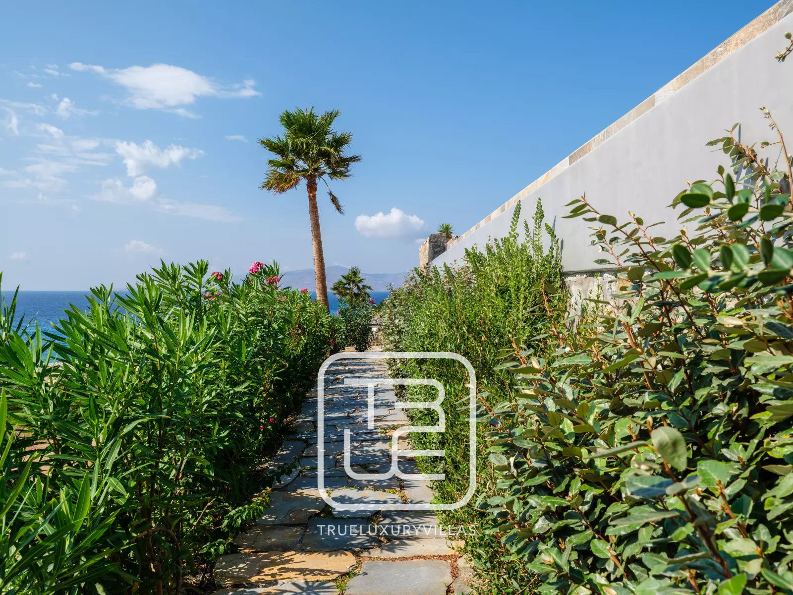 Lukas Estate