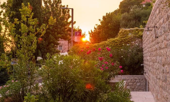 Villa Flora
