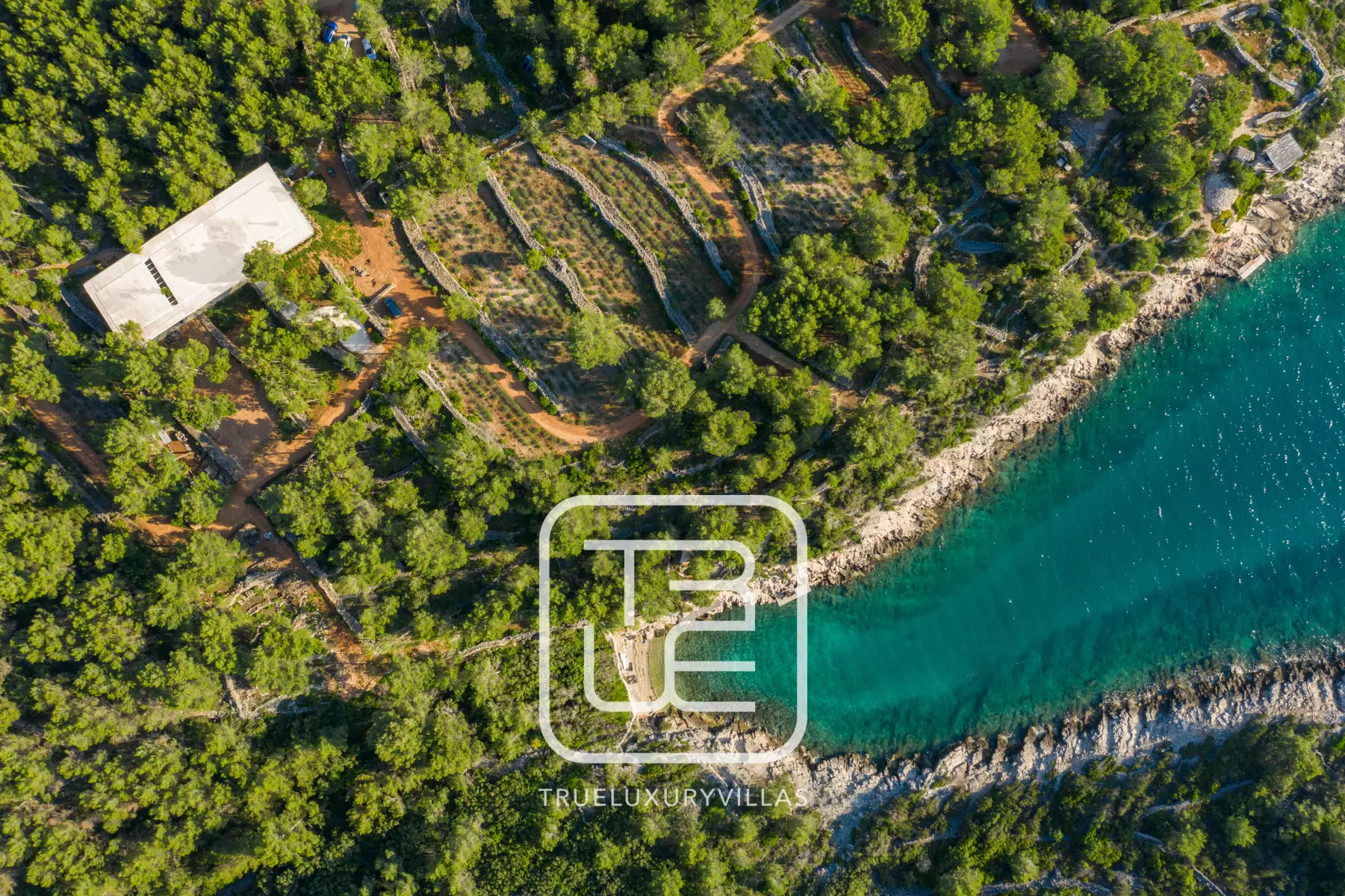 Villa Nest