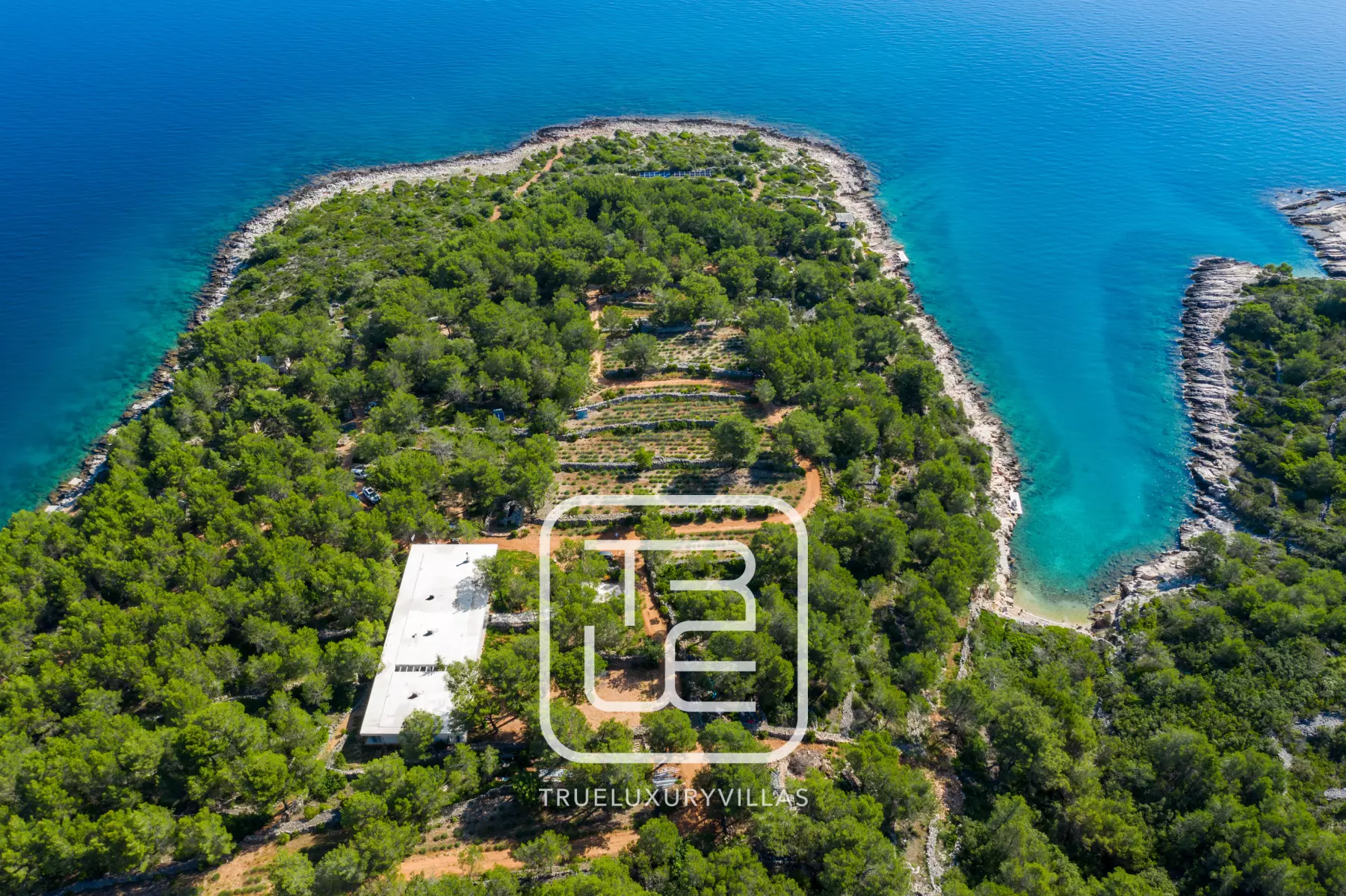 Villa Nest