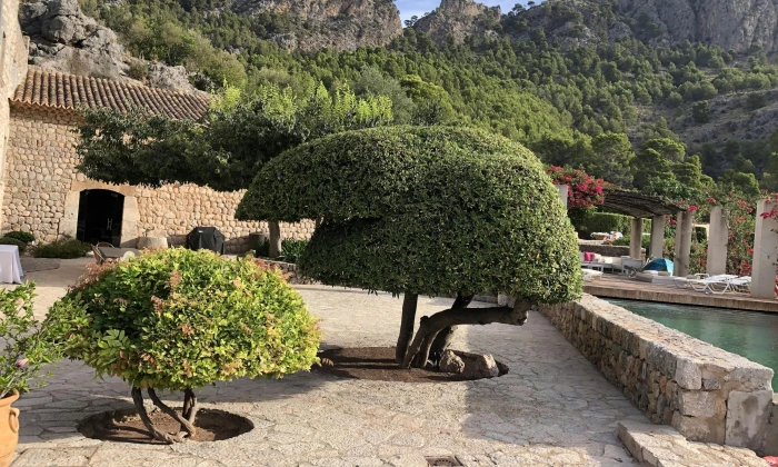 Villa Bassa