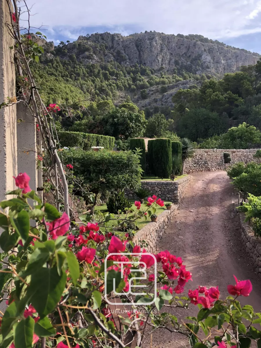 Villa Bassa