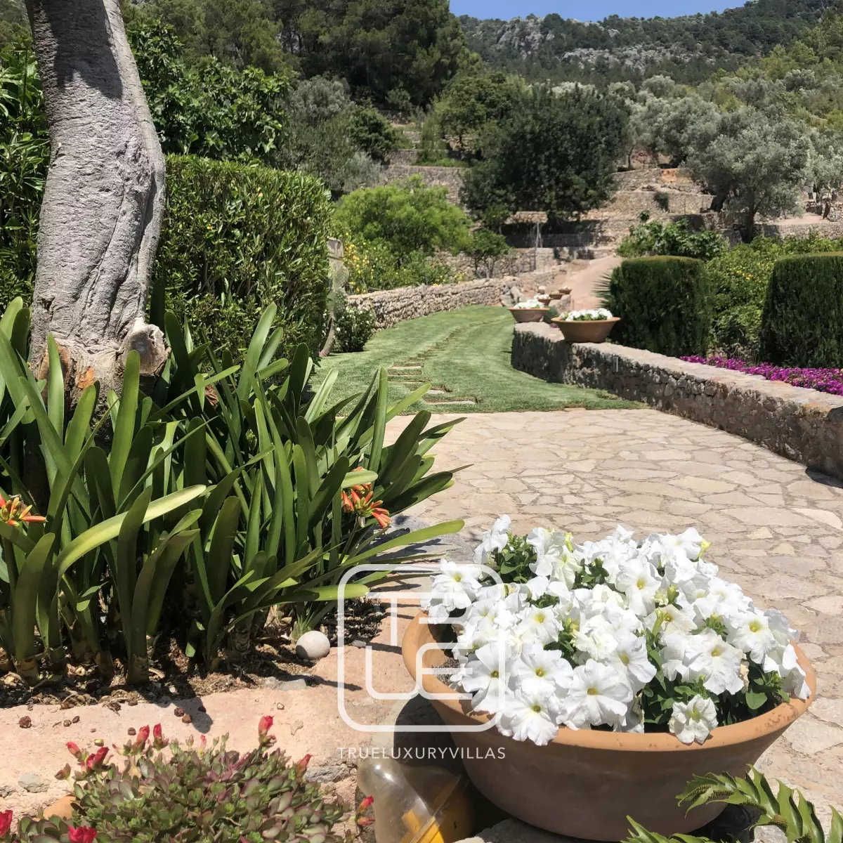 Villa Bassa