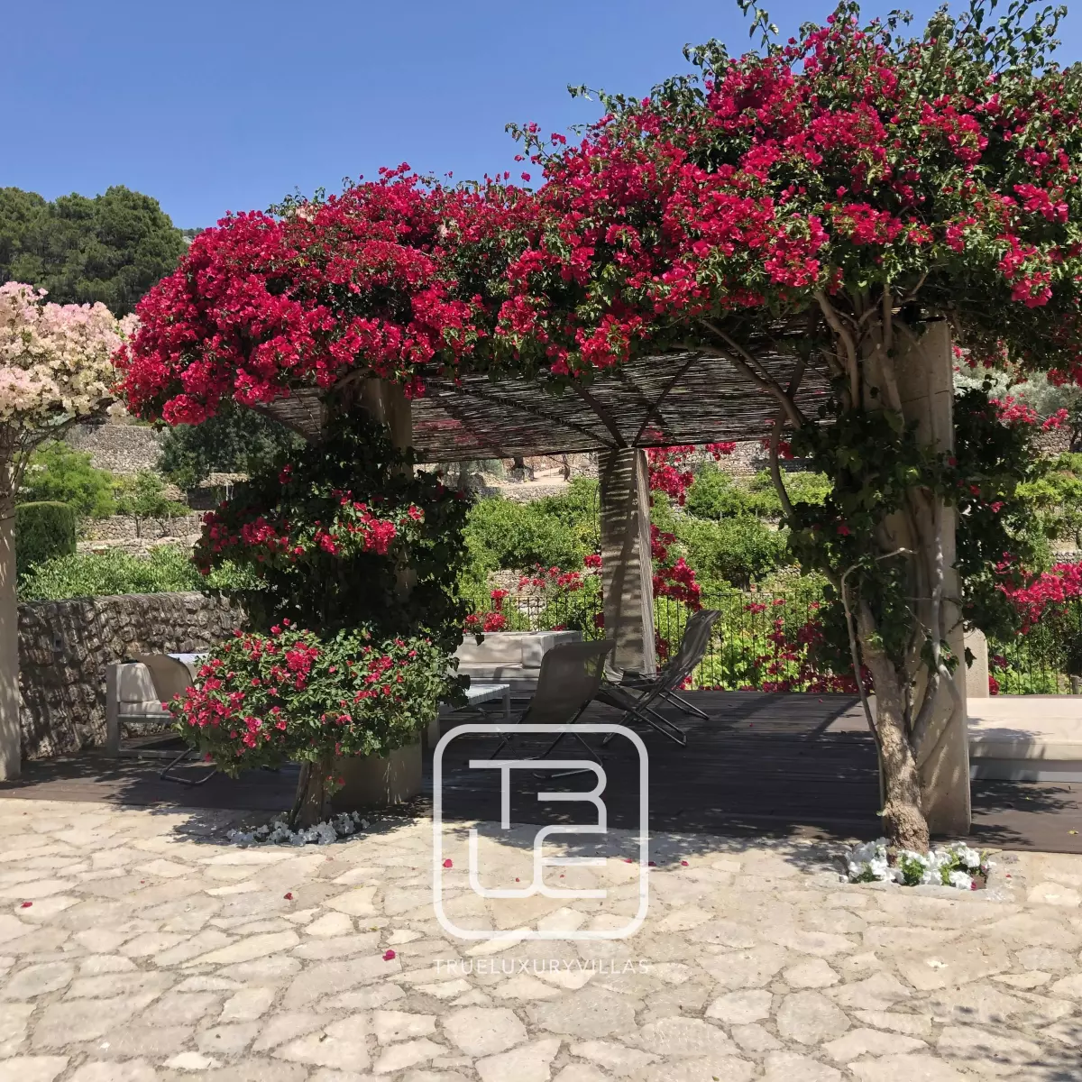 Villa Bassa