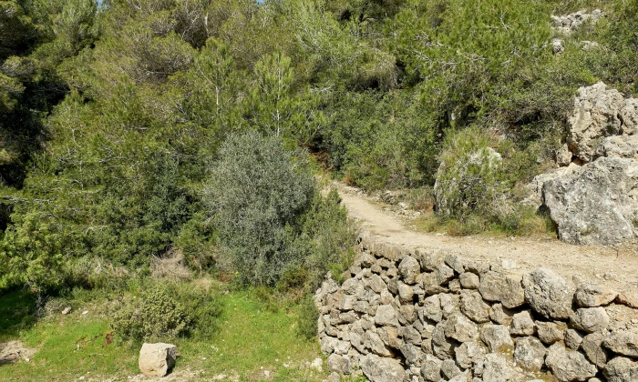 Villa Colisto