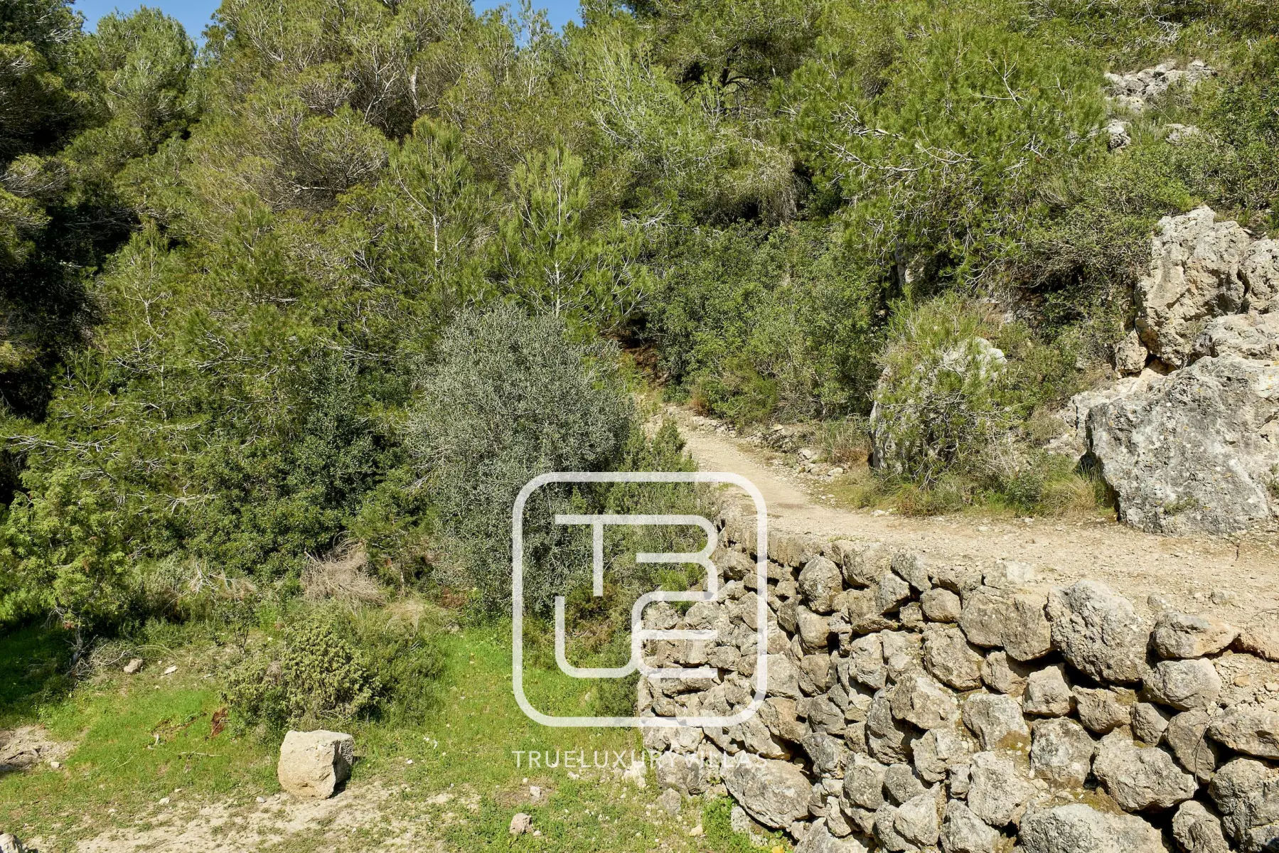 Villa Colisto
