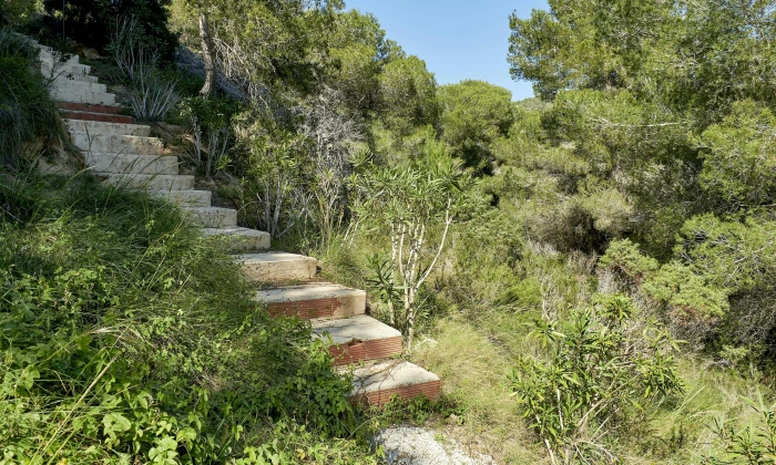 Villa Colisto
