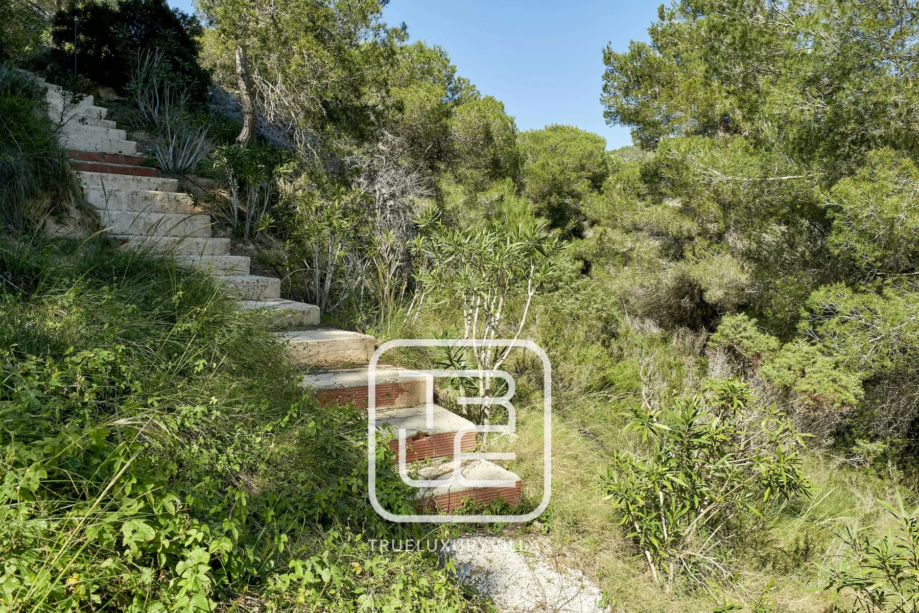 Villa Colisto